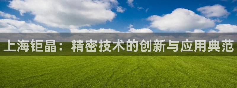 星欧娱乐官网登录入口：上海钜晶：精密技术的创新与应用典范