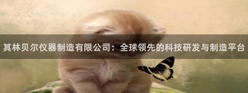 欧星娱乐平台：其林贝尔仪器制造有限公司：全球领先的科技研发与