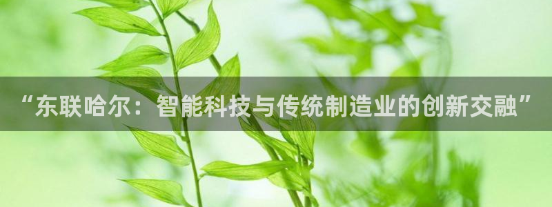 星欧娱乐还能玩吗：“东联哈尔：智能科技与传统制造业的创新交融