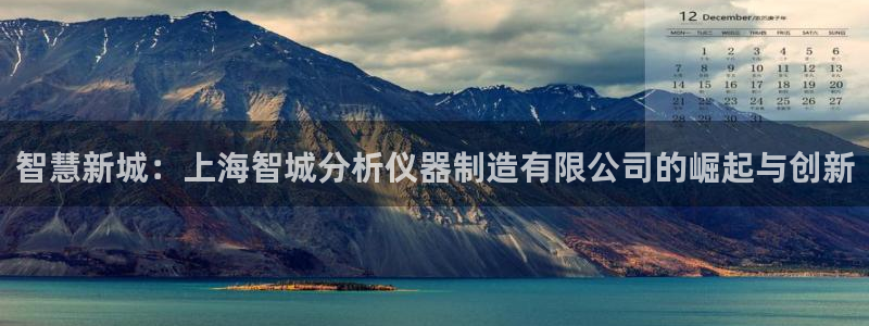 欧汇星娱乐城：智慧新城：上海智城分析仪器制造有限公司的崛起与