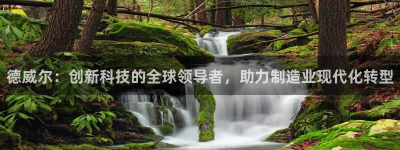 欧星娱乐网站：德威尔：创新科技的全球领导者，助力制造业现代化