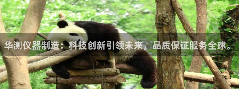 欧星娱乐备用网址：华测仪器制造：科技创新引领未来，品质保证服