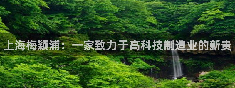 星欧娱乐平台靠谱吗：上海梅颖浦：一家致力于高科技制造业的新贵