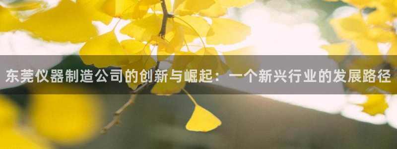 常州欧尚超市五星店娱乐：东莞仪器制造公司的创新与崛起：一个新