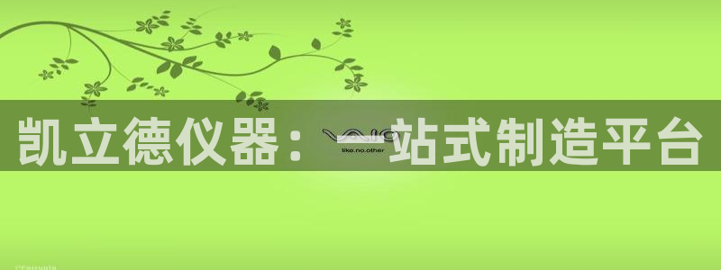 星欧娱乐最近怎么了：凯立德仪器：一站式制造平台