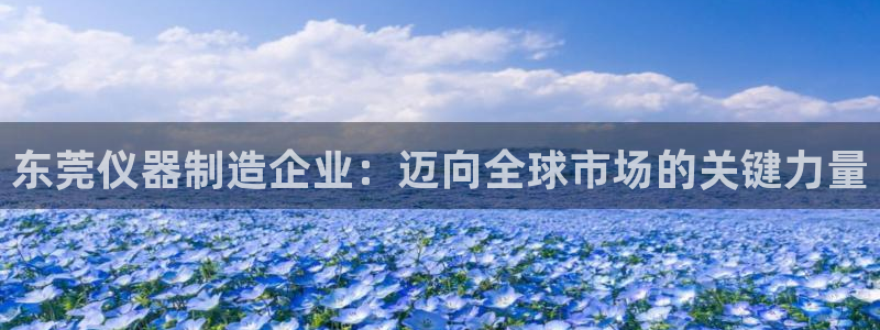 星欧娱乐登录入口：东莞仪器制造企业：迈向全球市场的关键力量