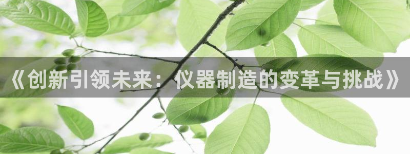 欧星线上娱乐：《创新引领未来：仪器制造的变革与挑战》