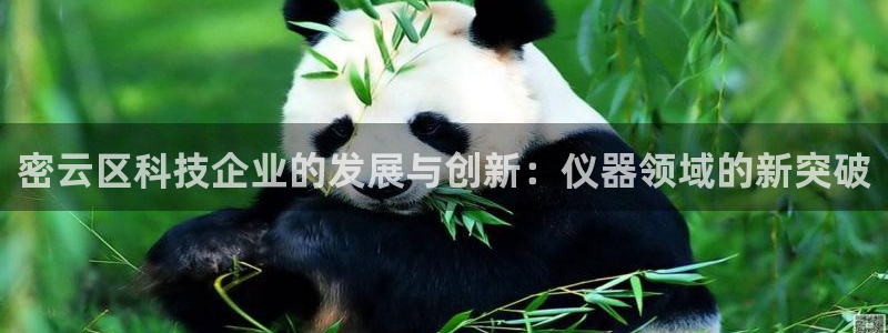 欧联杯正赛星辉娱乐：密云区科技企业的发展与创新：仪器领域的新