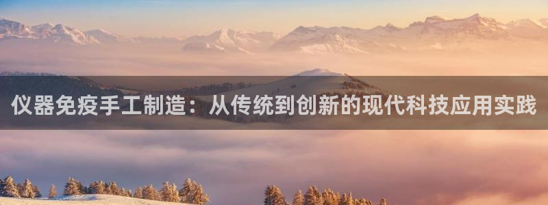 星欧娱乐官方网站首页：仪器免疫手工制造：从传统到创新的现代科