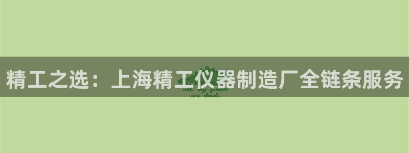武汉欧汇星娱乐有限公司：精工之选：上海精工仪器制造厂全链条服