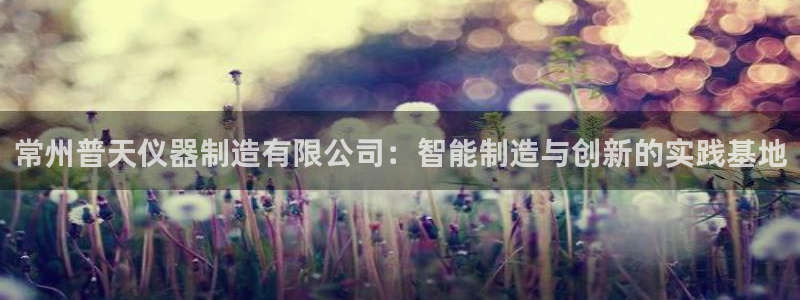 欧乐星城团购娱乐：常州普天仪器制造有限公司：智能制造与创新的