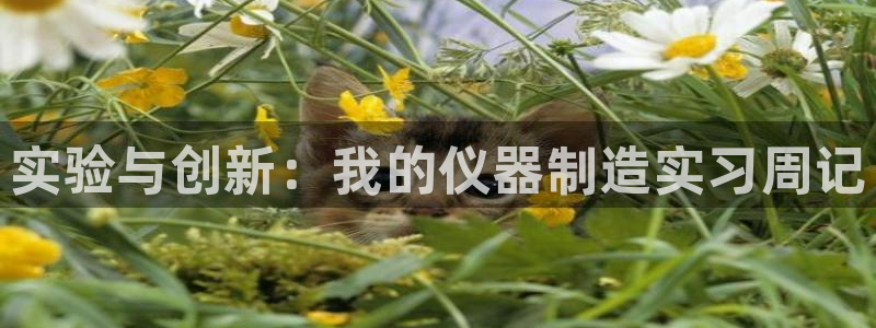 欧星娱乐app：实验与创新：我的仪器制造实习周记