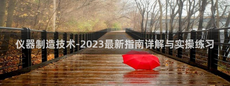 欧联杯正赛星辉娱乐