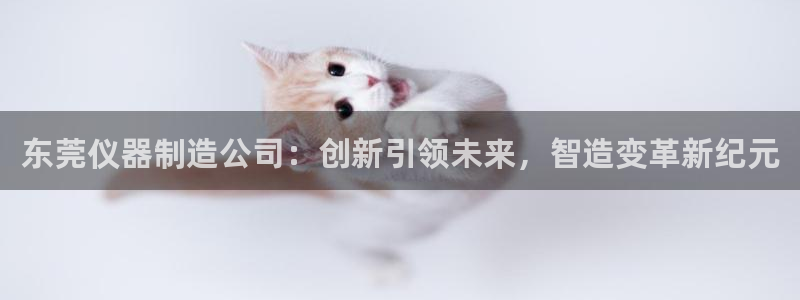 星欧娱乐平台是否安全：东莞仪器制造公司：创新引领未来，智造变