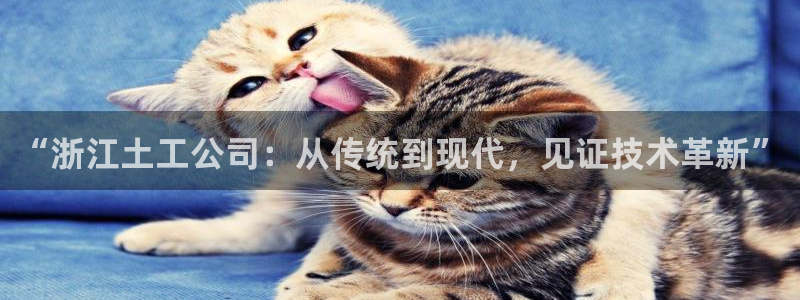 欧星娱乐：“浙江土工公司：从传统到现代，见证技术革新”